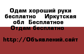 Одам хороший руки бесплатно  - Иркутская обл. Бесплатное » Отдам бесплатно   